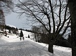 03 Faggi secolari